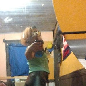 Meet your Posher, Fredy